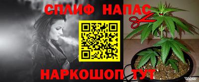 гидра Можайск